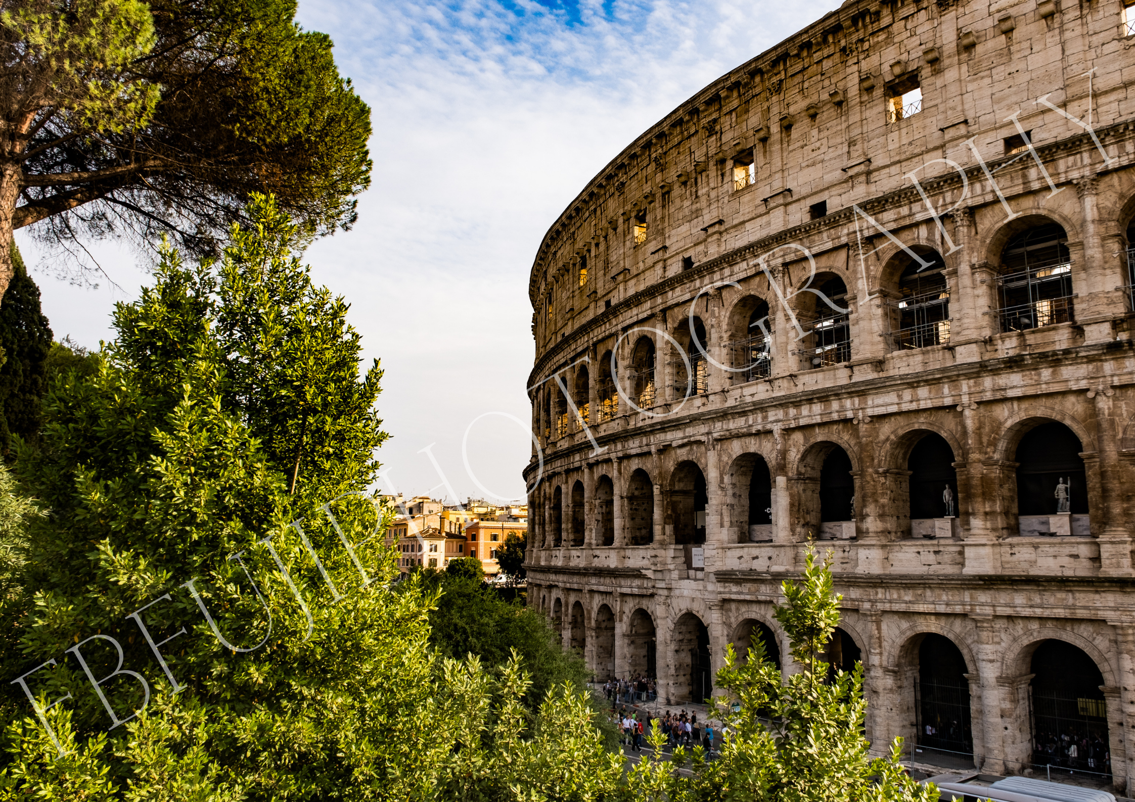 Colosseum Rome Fine Art Photography Print – Ancient Architecture Wall Art