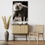 WILDLIFE